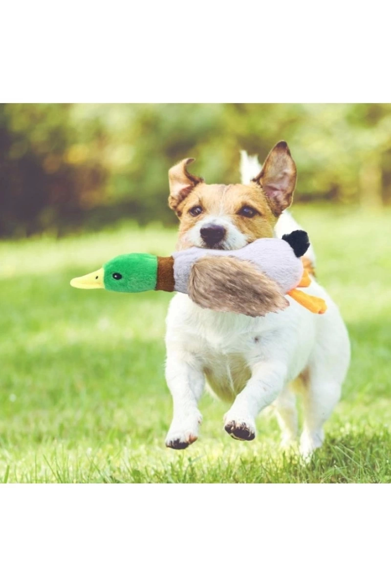 Sesli Ördek Şekilli Peluş Köpek Oyuncağı