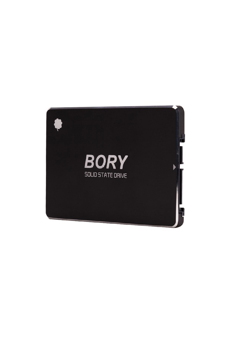 BORY R500-C256G SATA3 256 GB SSD 550/510 MBS HARDDİSK (4767)