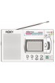 ROXY RXY-330 10 BANT DİGİTAL GÖSTERGELİ PİLLİ RADYO (4767)