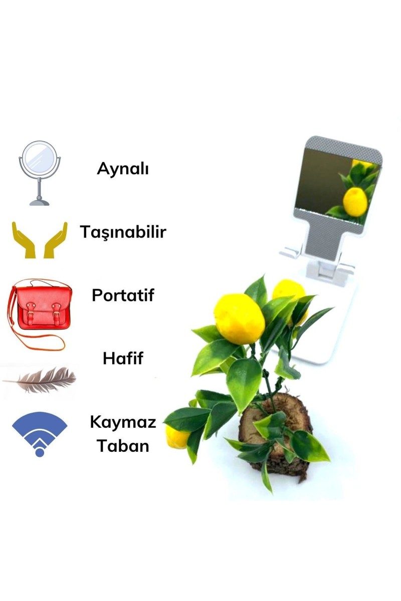 Siyah Aynalı Cep Telefonu Sabitleyici Stand Katlanabilir Ayarlanabilir Telefon Standı (4767)