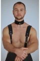 Erkek Harness