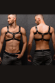 Erkek Harness