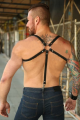 Erkek Harness