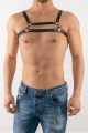 Erkek Harness