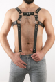 Erkek Harness