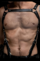 Erkek Harness