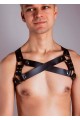 Erkek Harness