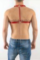 Erkek Harness