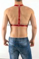 Erkek Harness