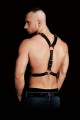 Erkek Harness