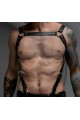 Erkek Harness