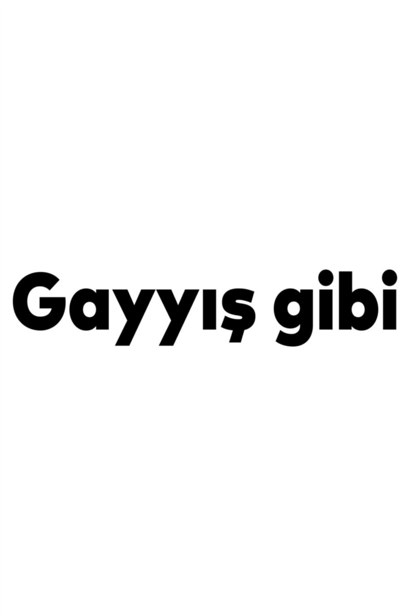 Gayış Gibi Oto Cam Sticker Siyah 20*4 Cm