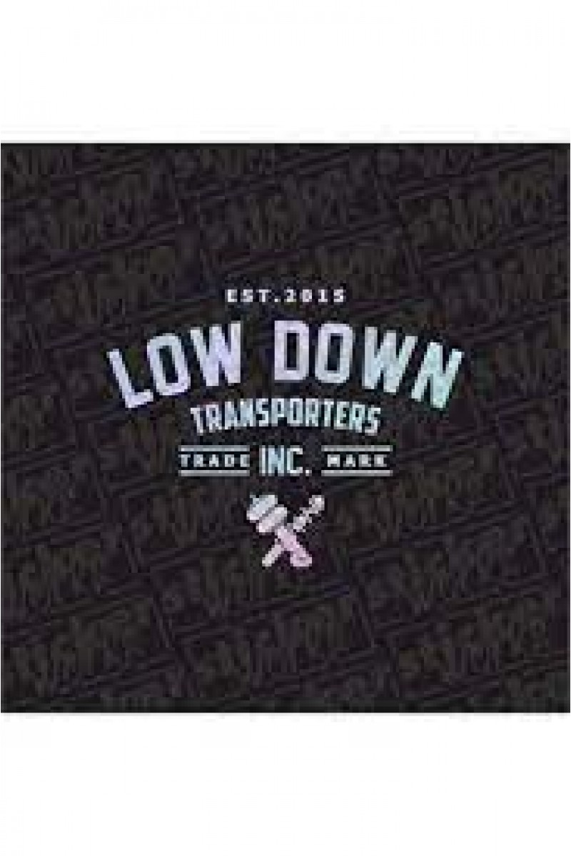 Low Down Transporters Arka Cam Hologram Sticker