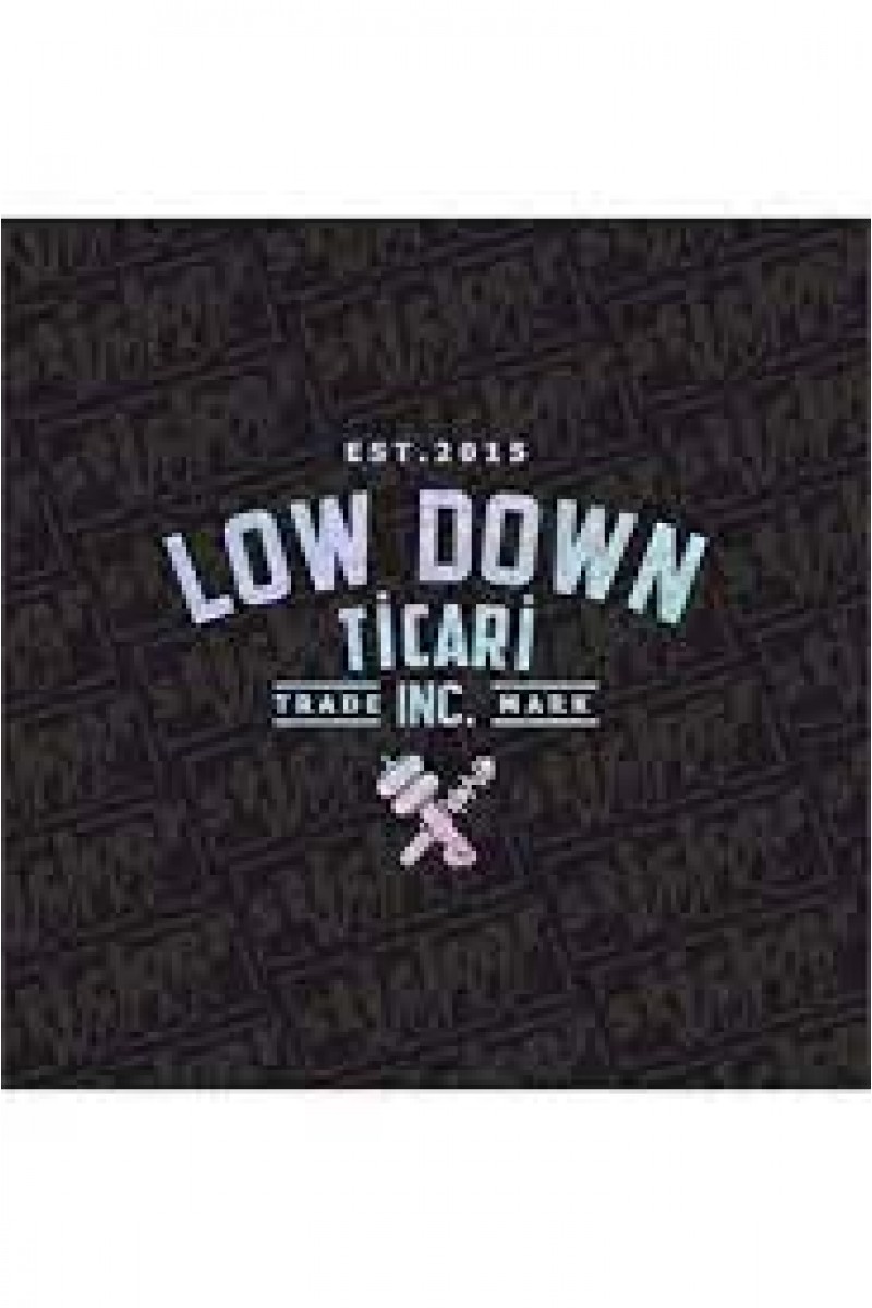 Low Down Ticari Arka Cam Hologram Sticker