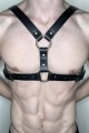 Kadın Harness