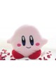 Kirby Yastık Sonsuzluk Kolye ve Dudu Budu Kupa Bardak Sevgiliye Hediye